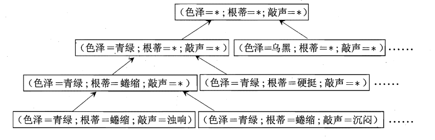 西瓜的假设空间
