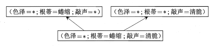 西瓜问题的版本空间